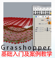 Grasshopper零基础入门及案例教学